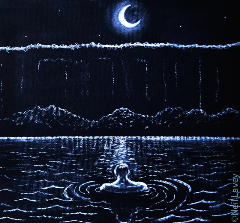 Lets-Swim-to-the-Moon.jpg