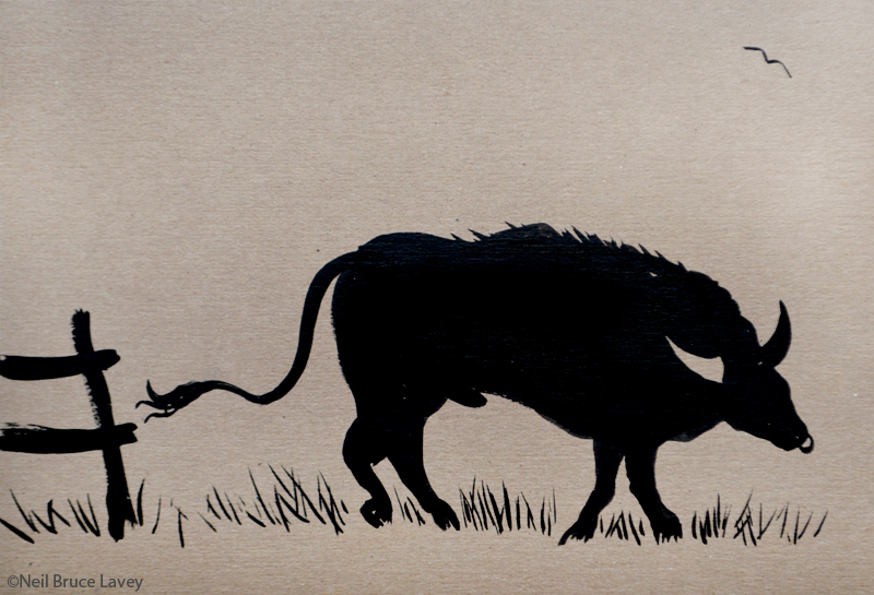 "Out to Pasture"