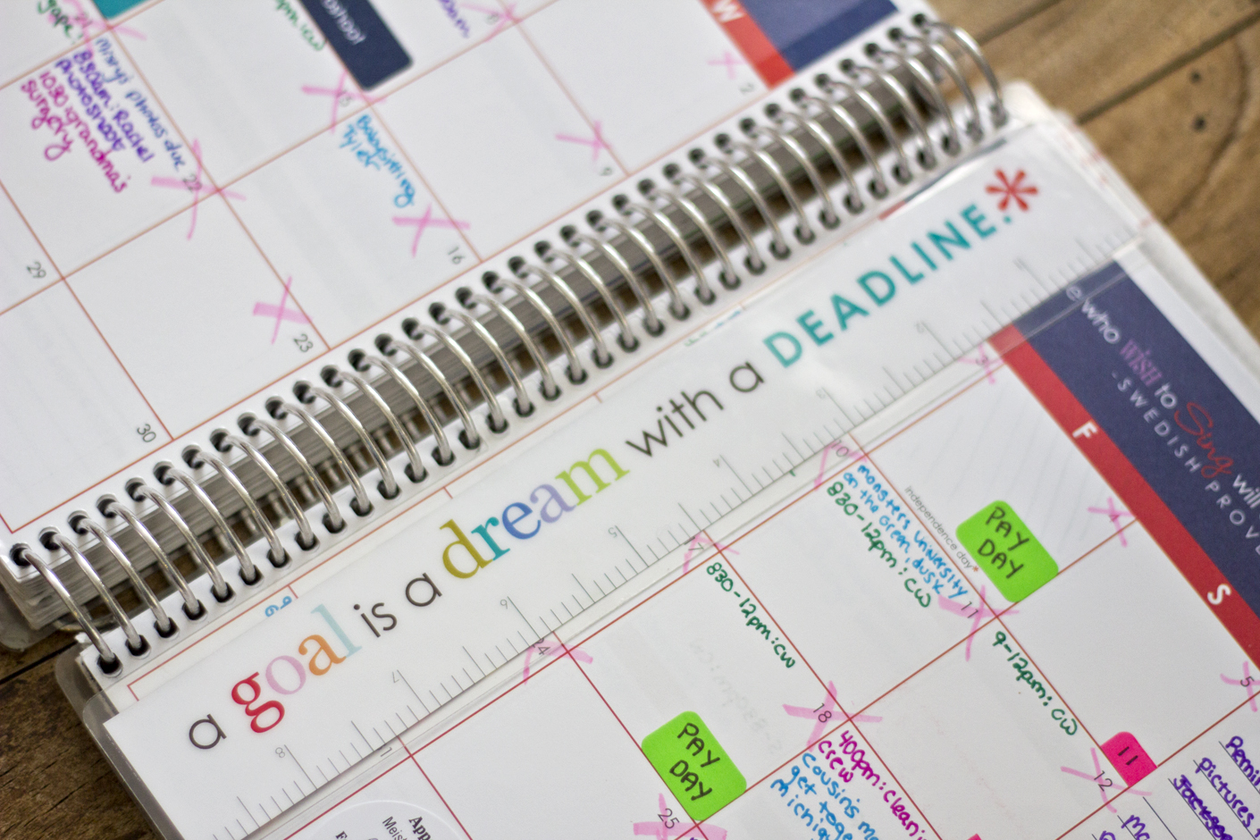 I love having a ruler! I wish my current planner had a nice ruler. The perforations surprisingly held up very well for the whole year.
