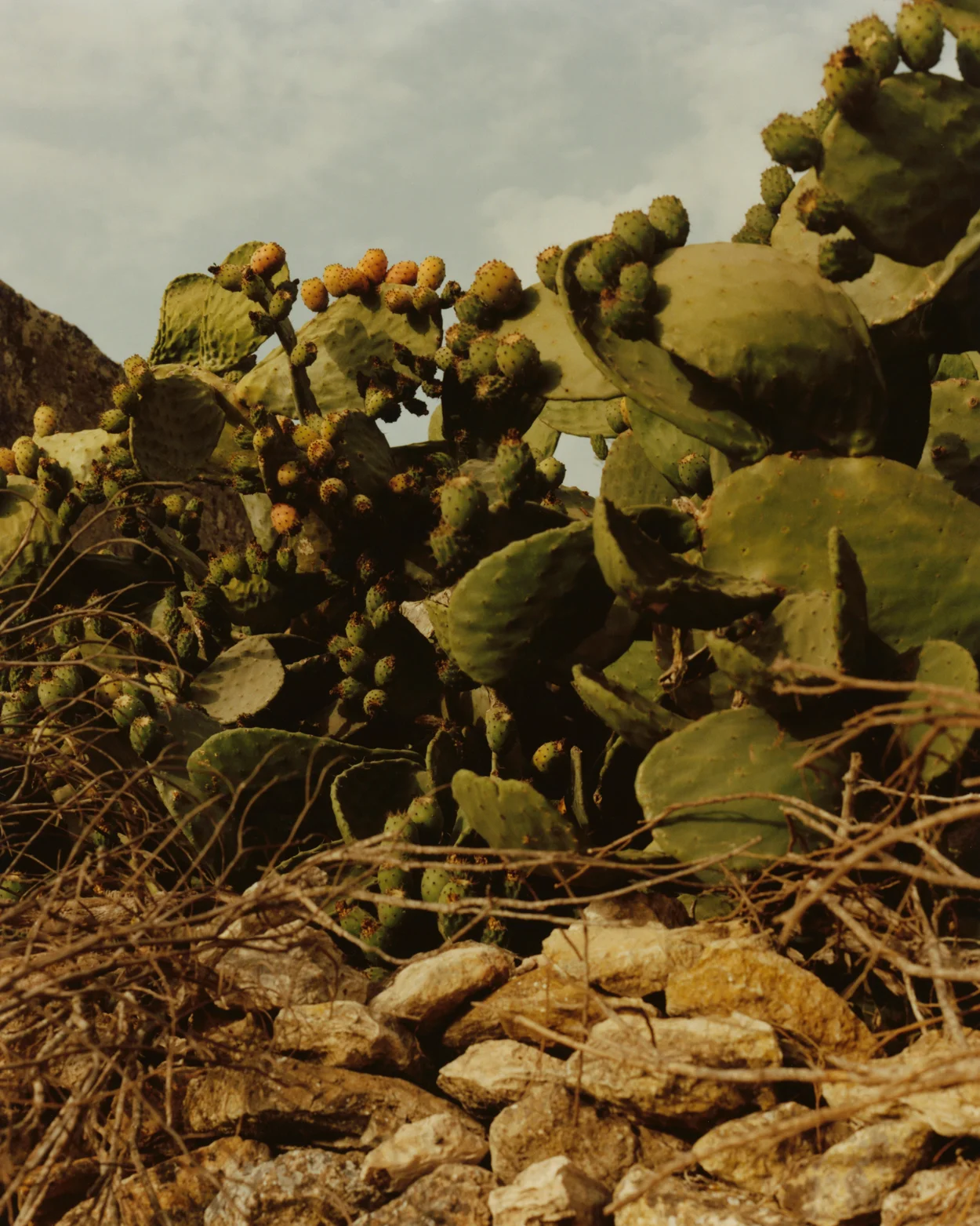 Morocco_005.jpg