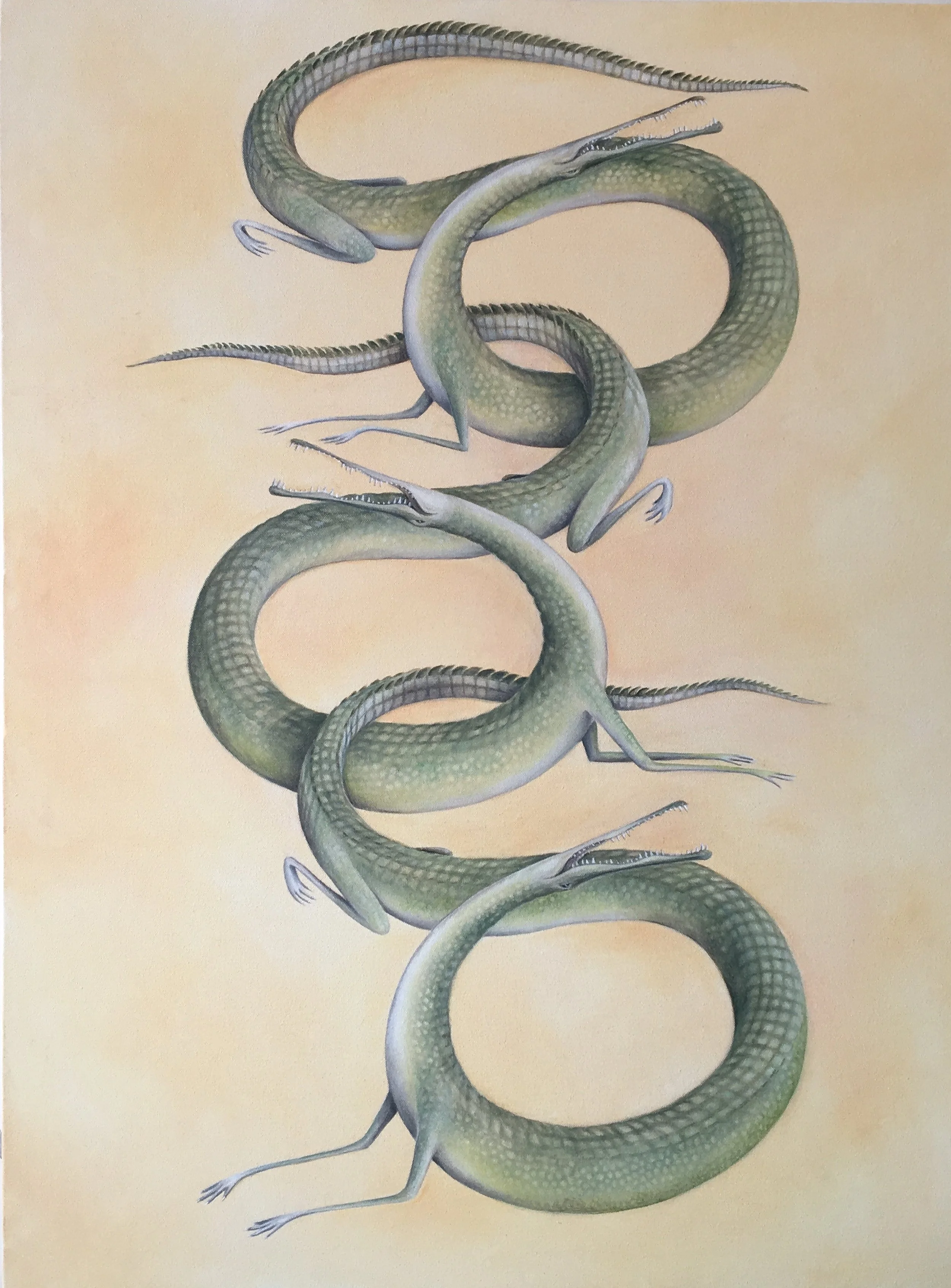 alligators2.jpg
