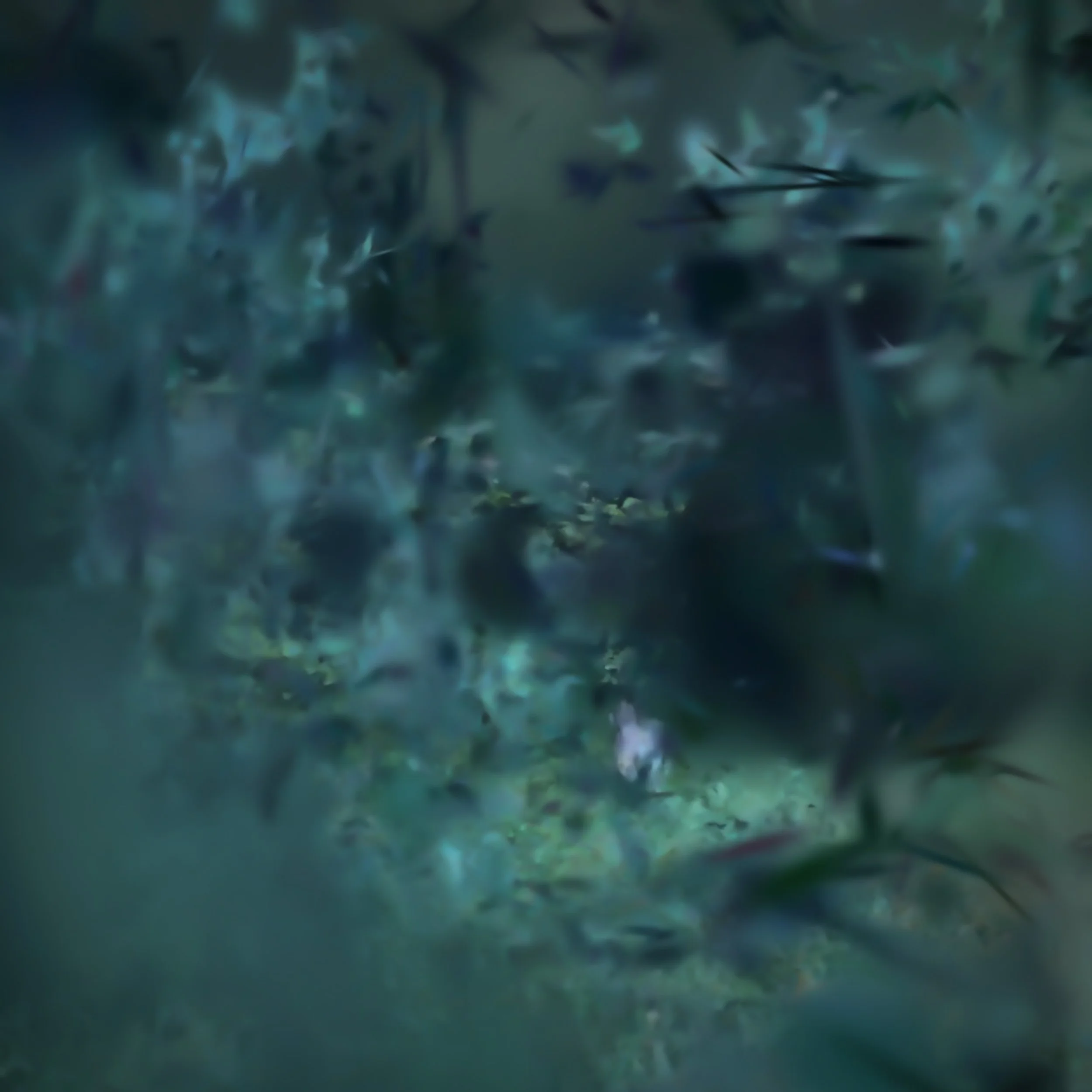 Held Below - Edition of 5