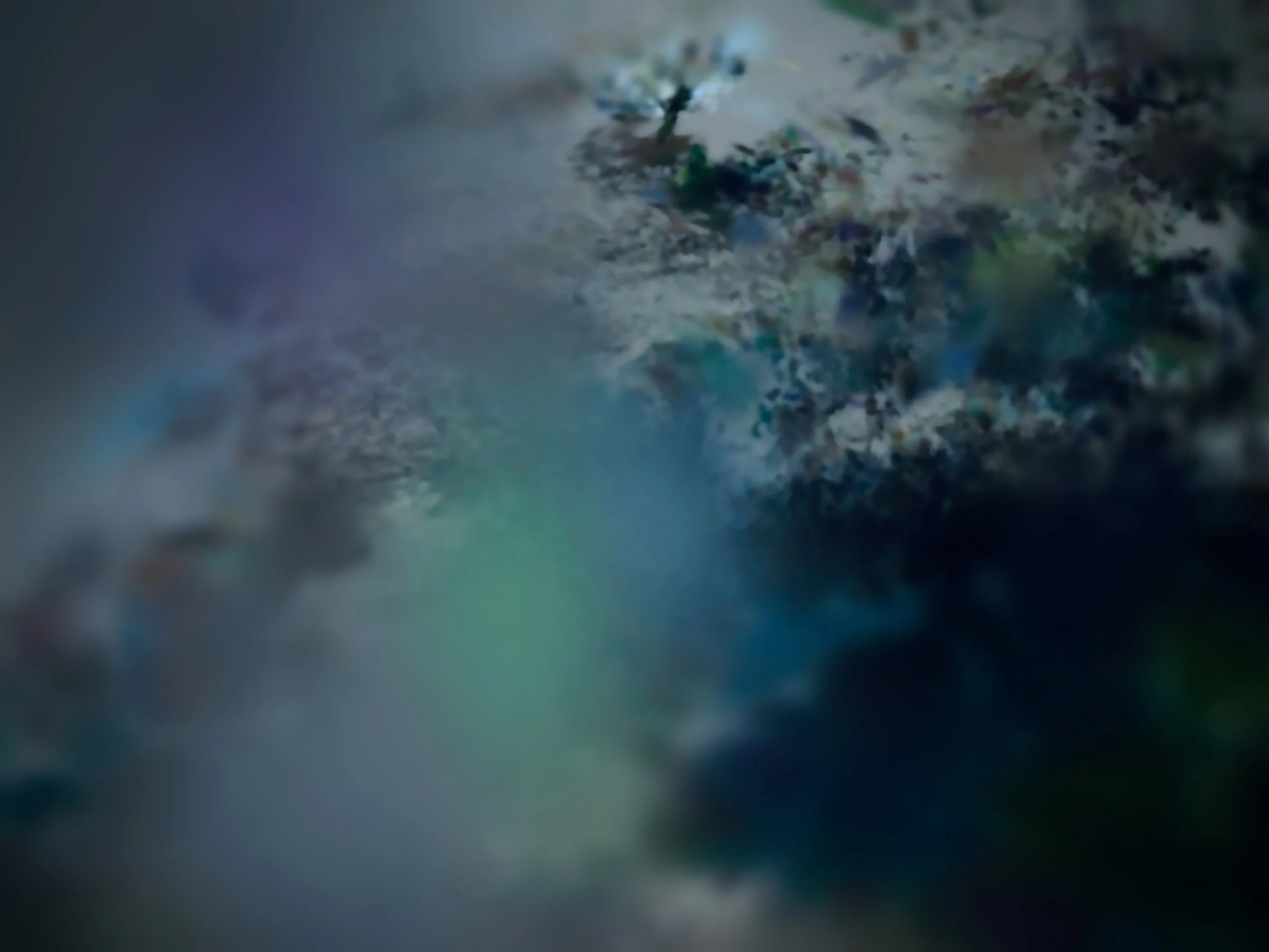 Soft Collapse - Edition of 5