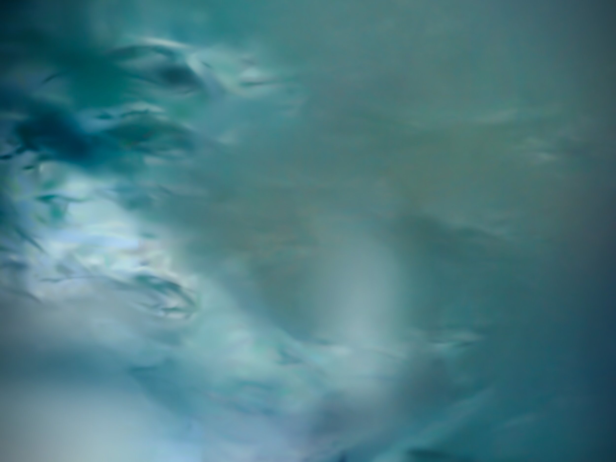 Hidden - Edition of 5