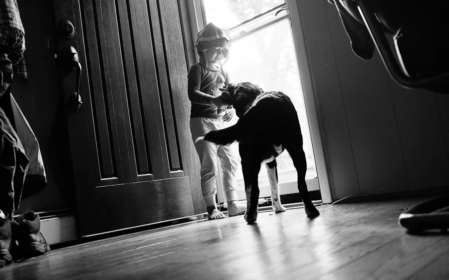 liam and finn tug-of-war-18.jpg