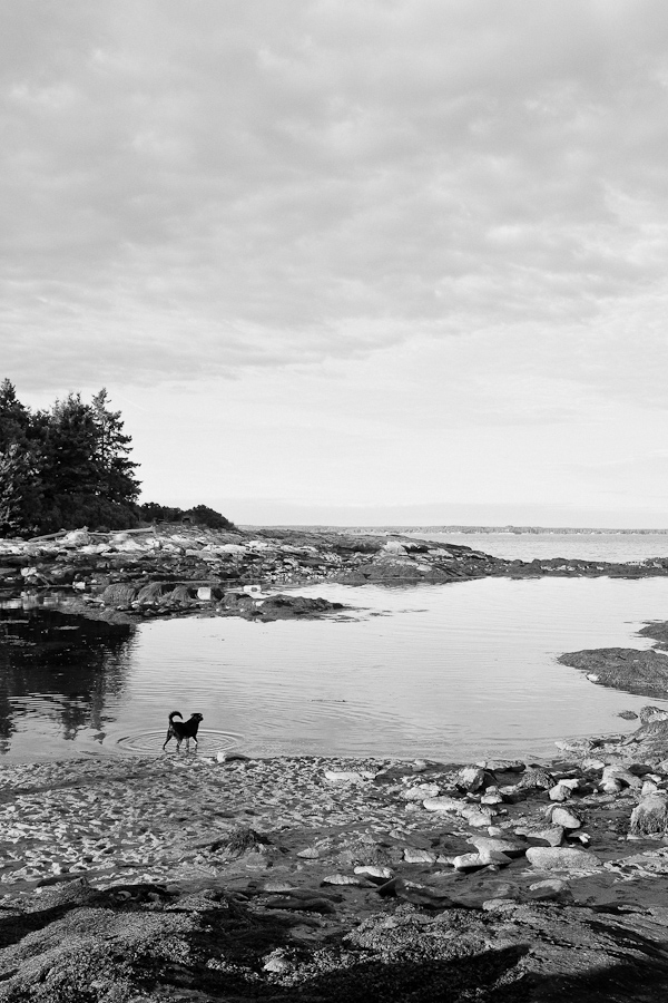 Finn. Reid State Park. Our last night in Maine.