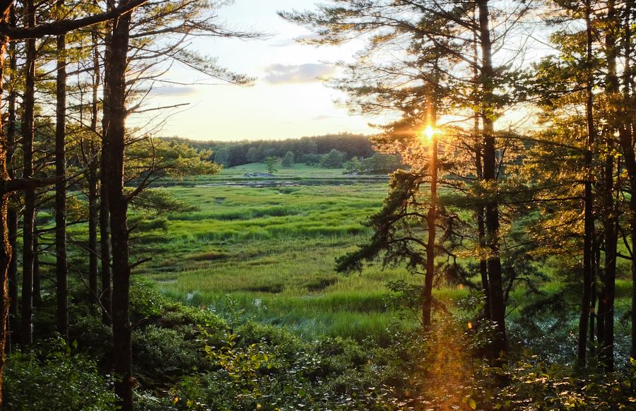 Back River Bend . Georgetown, ME. 