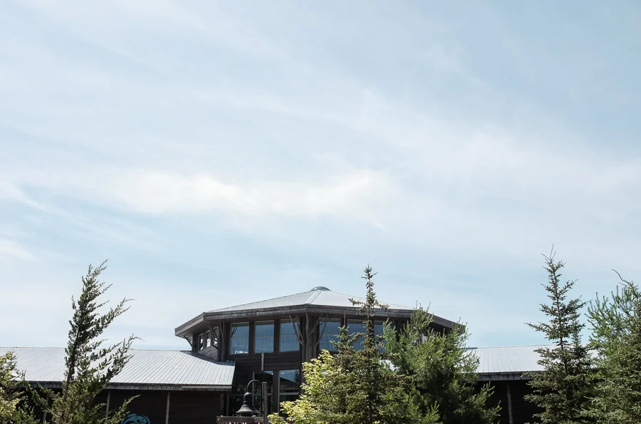 the wild center-2.jpg