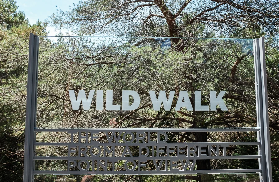 the wild center-6.jpg