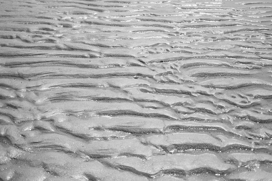 black and white daze in maine blog-72.jpg