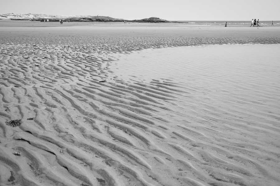 black and white daze in maine blog-77.jpg