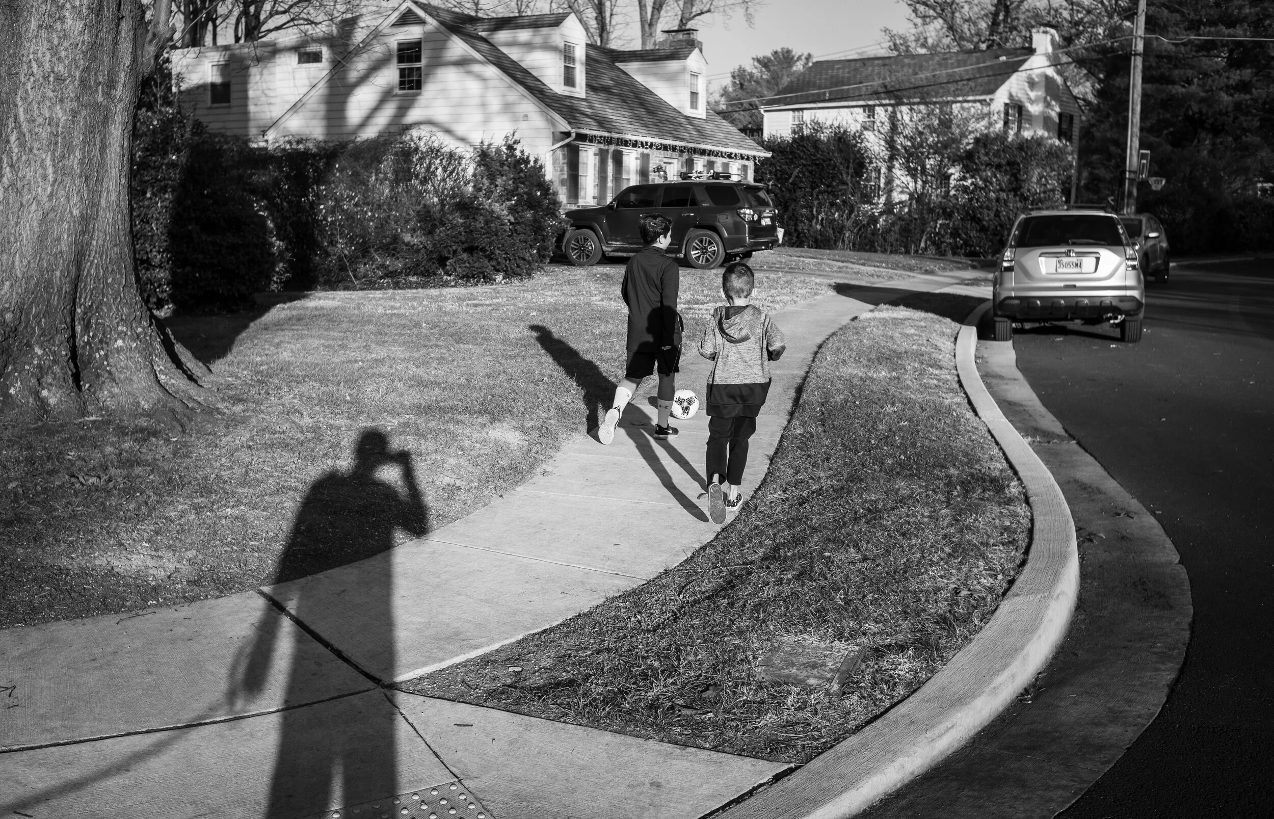 along the walk-1.jpg