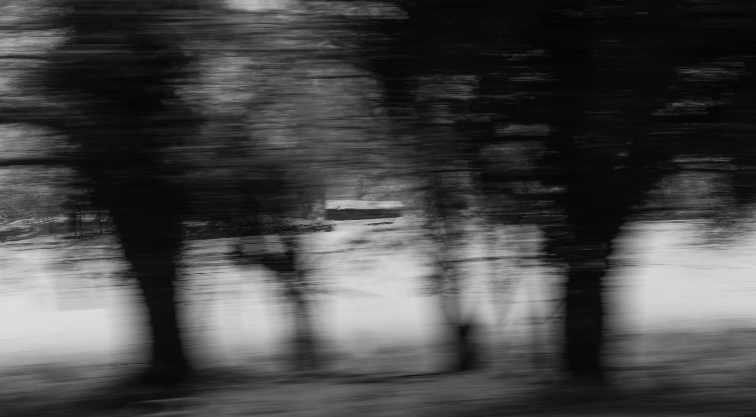 that snowy morning-4.jpg