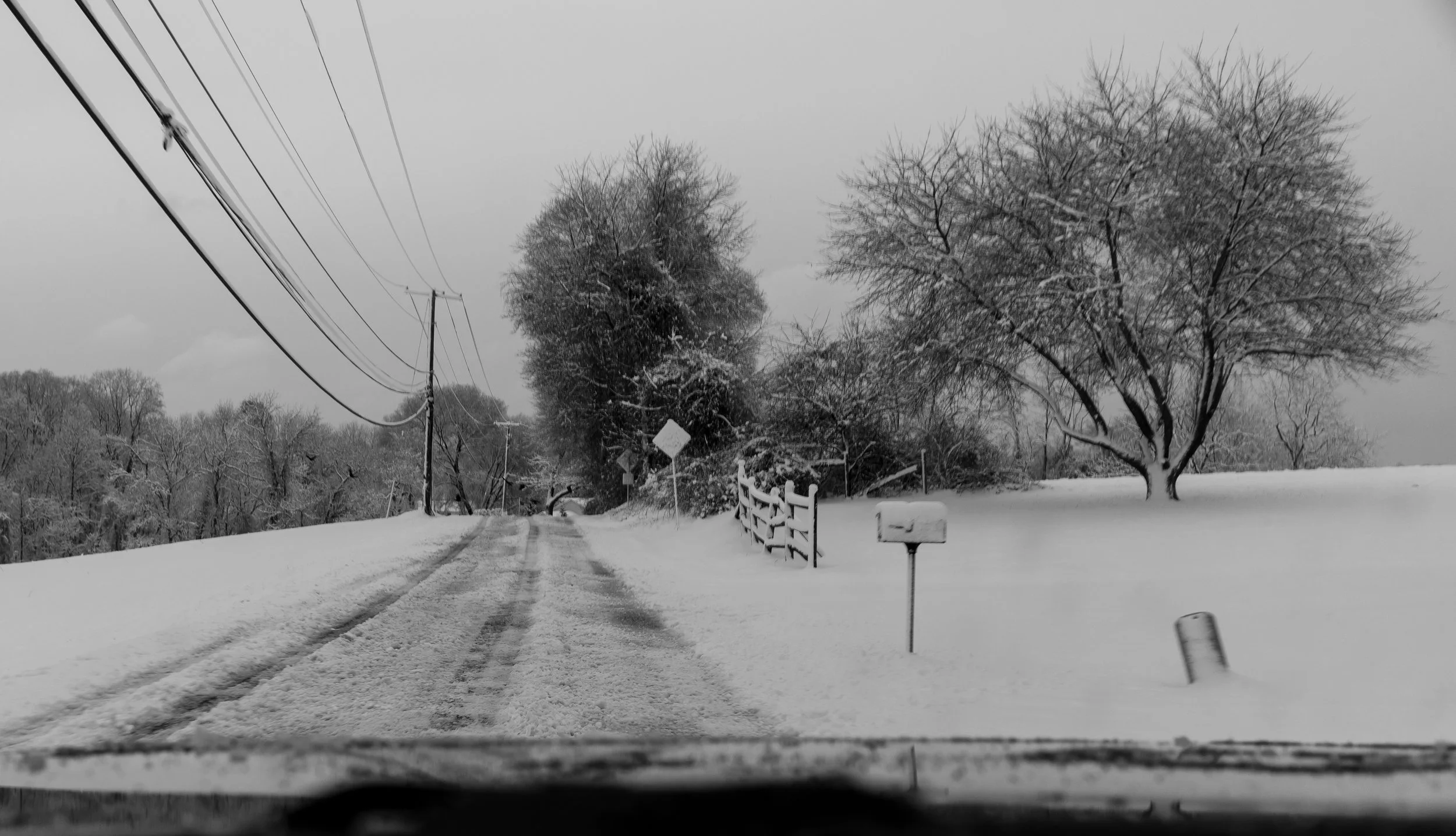 that snowy morning-5.jpg