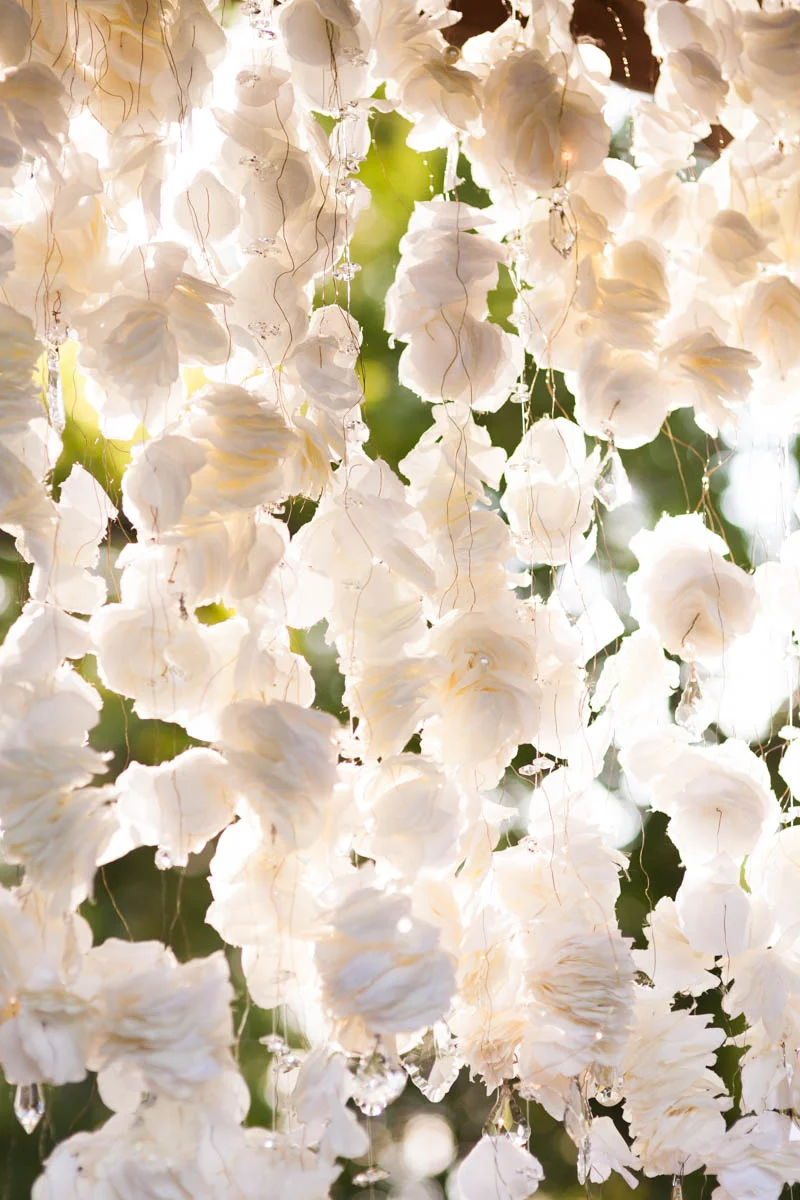 Canon 5D Mark II with Sigma 30mm