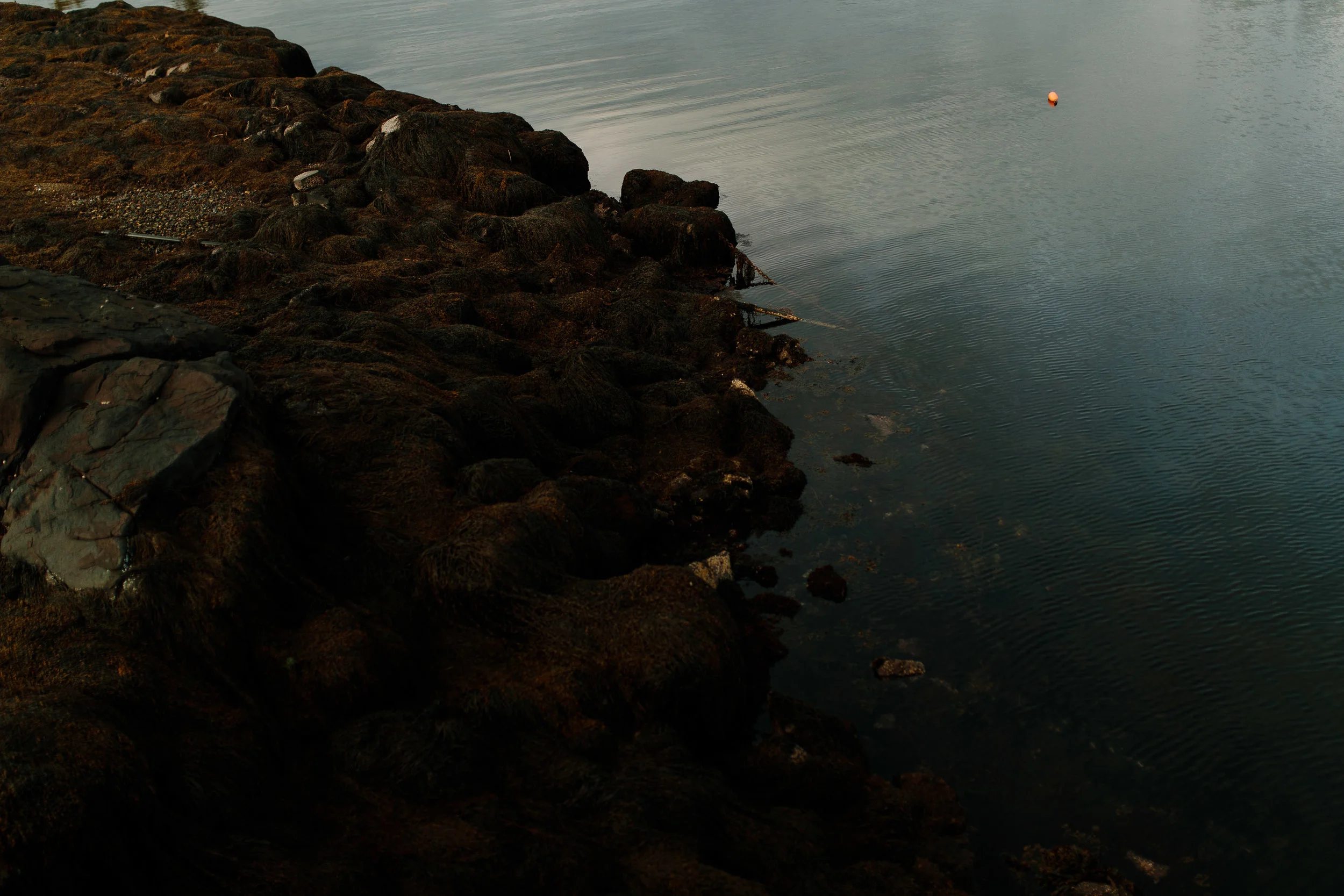 Canon 1DX Mark II with Sigma 35mm + ND Filter