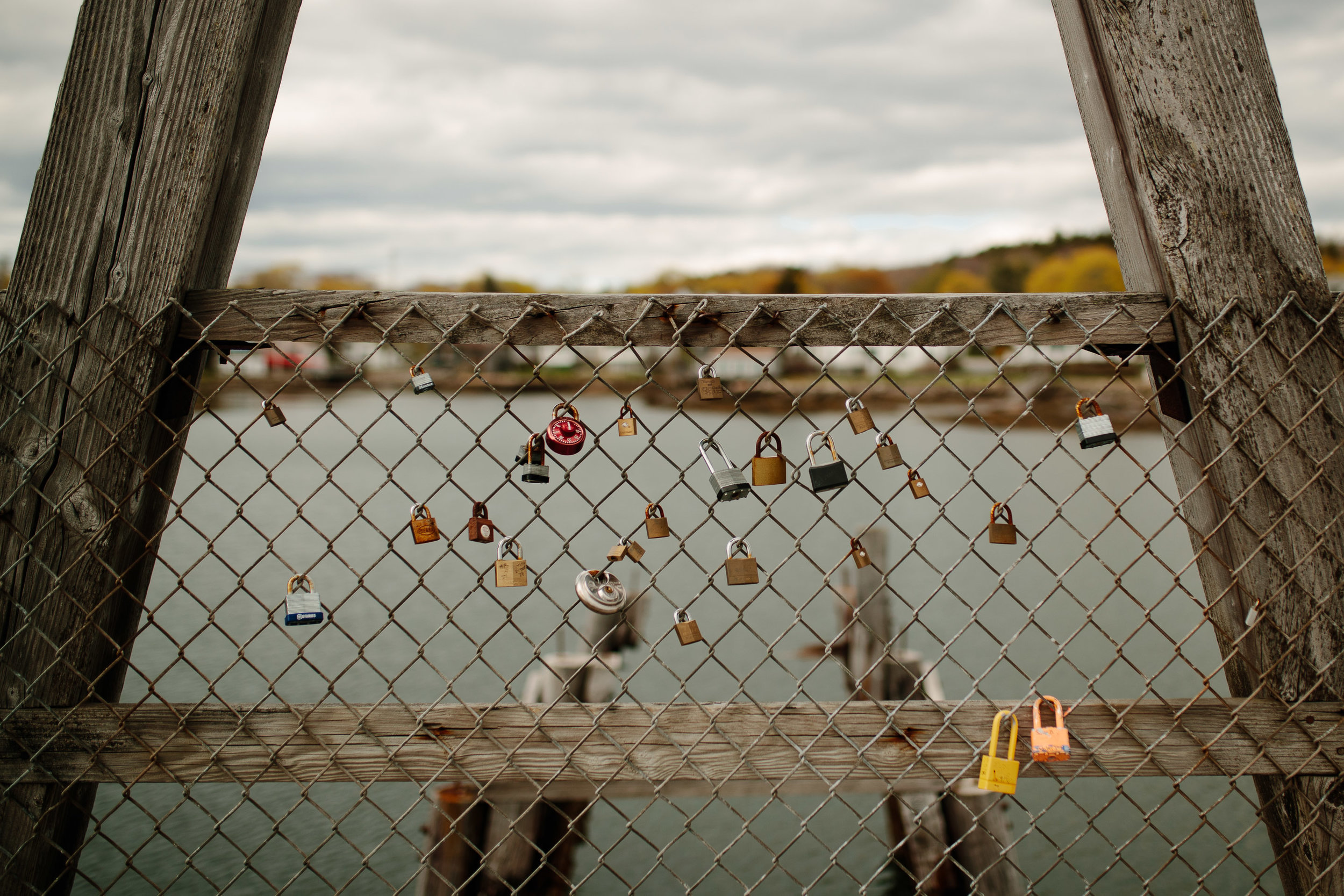 Canon 1DX Mark II with Sigma 35mm