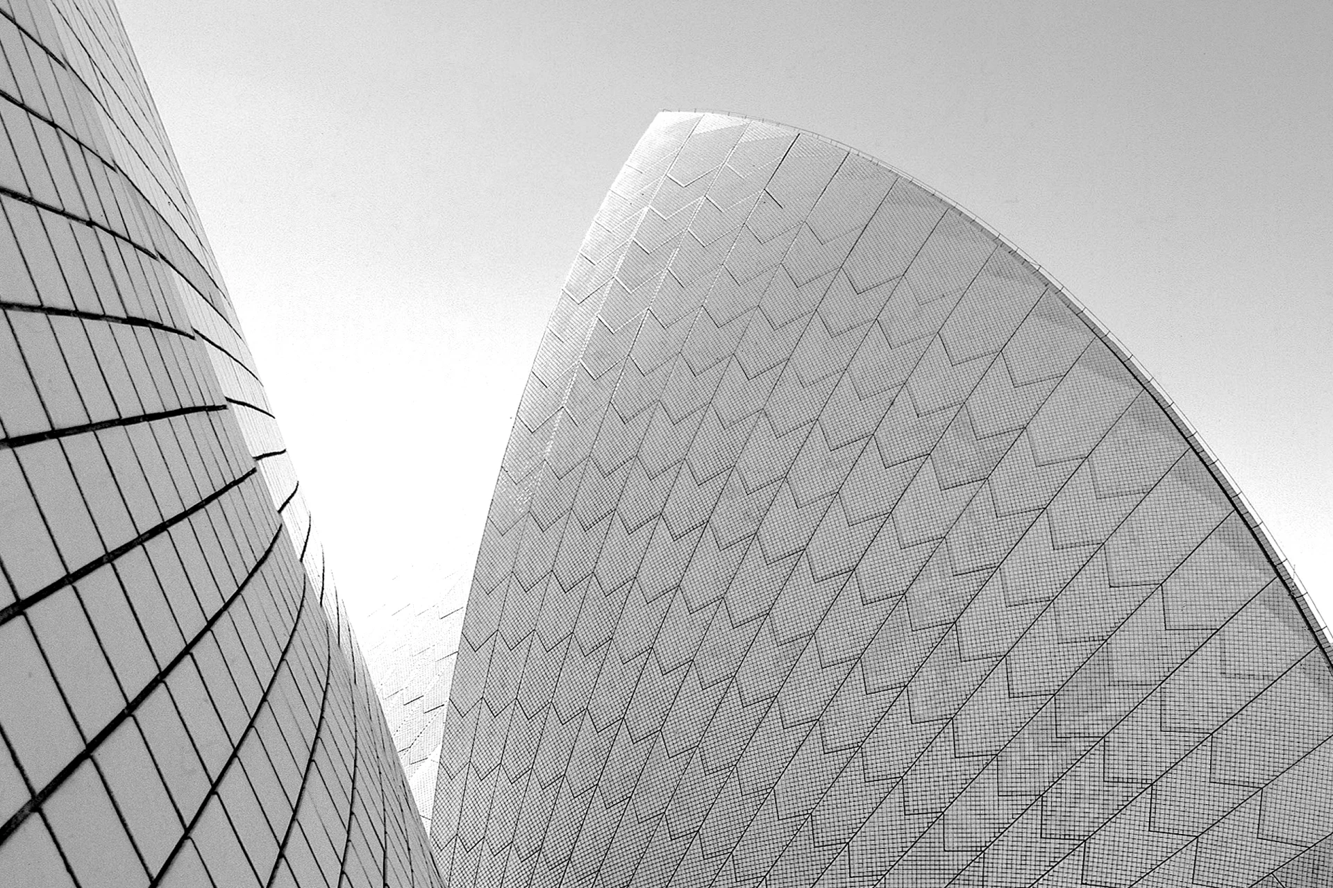 Interbrand-SydneyOperaHouse_52.jpg