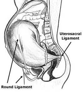 round-lig-uterosacral-diagram.jpg