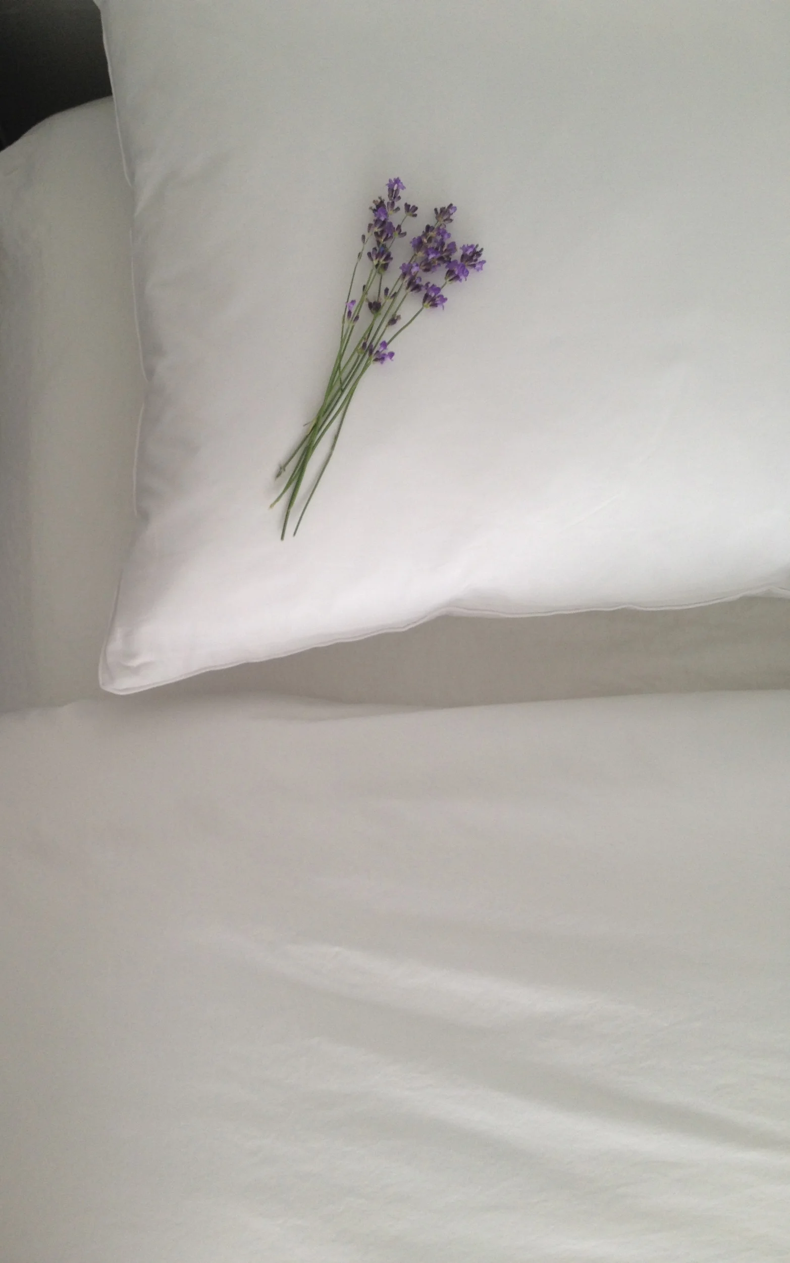 Duvation_white duvet cover_Lavender.jpg