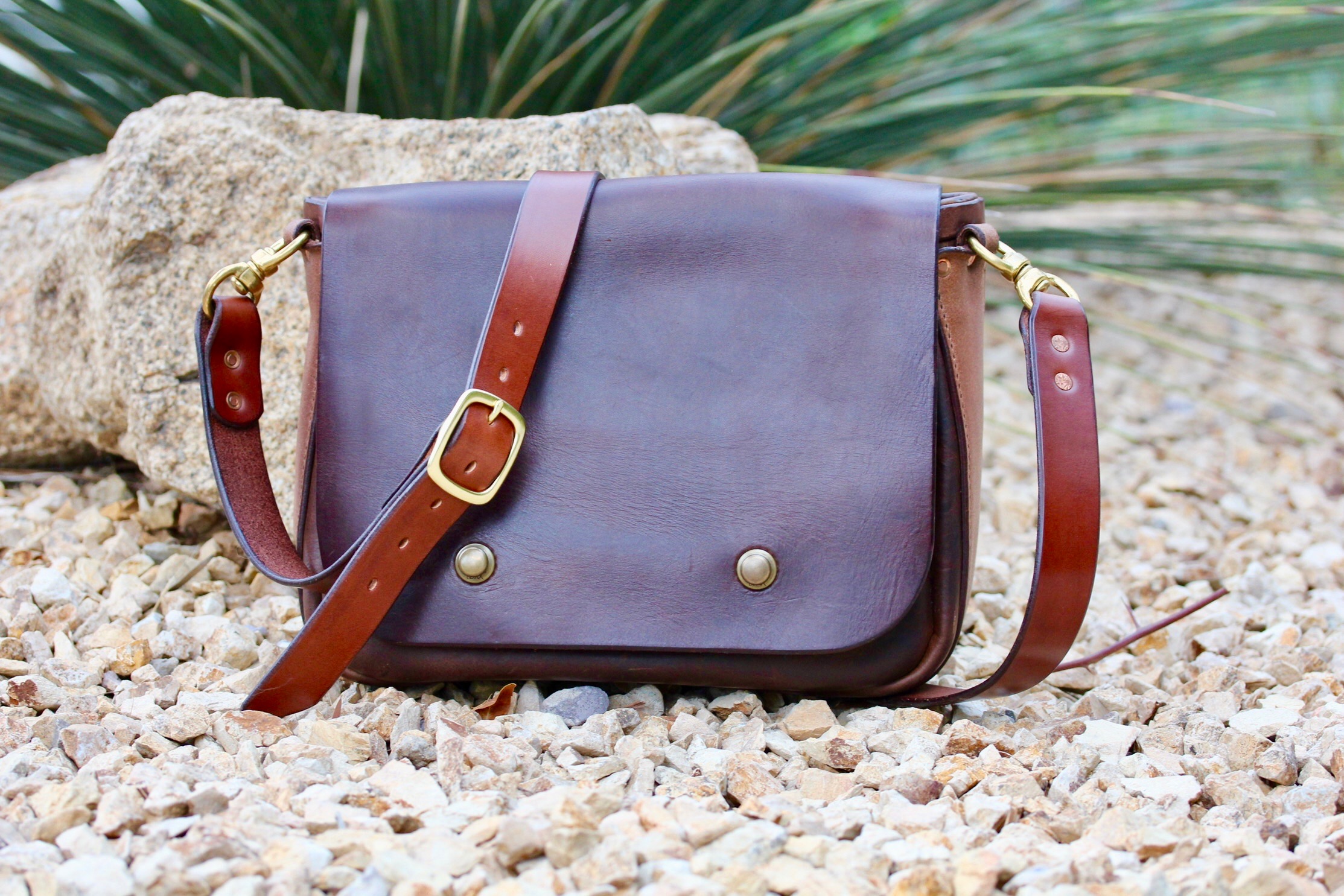 IMG_4368.jpg