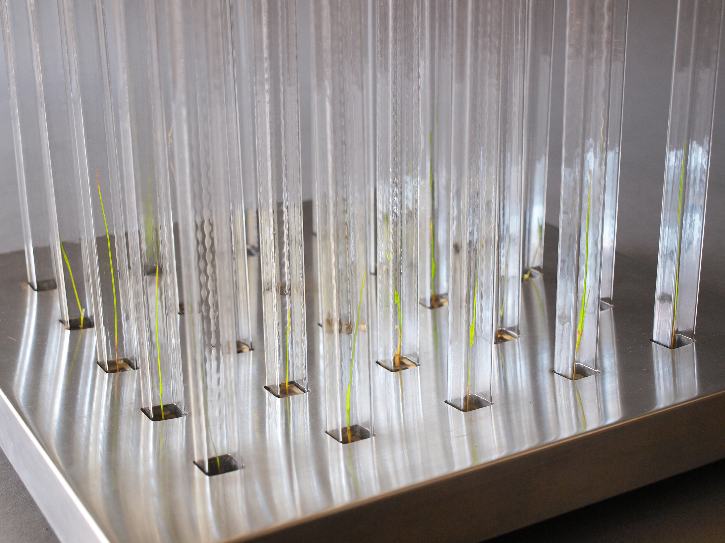 AS+AK_Nothing Precious_2.jpg