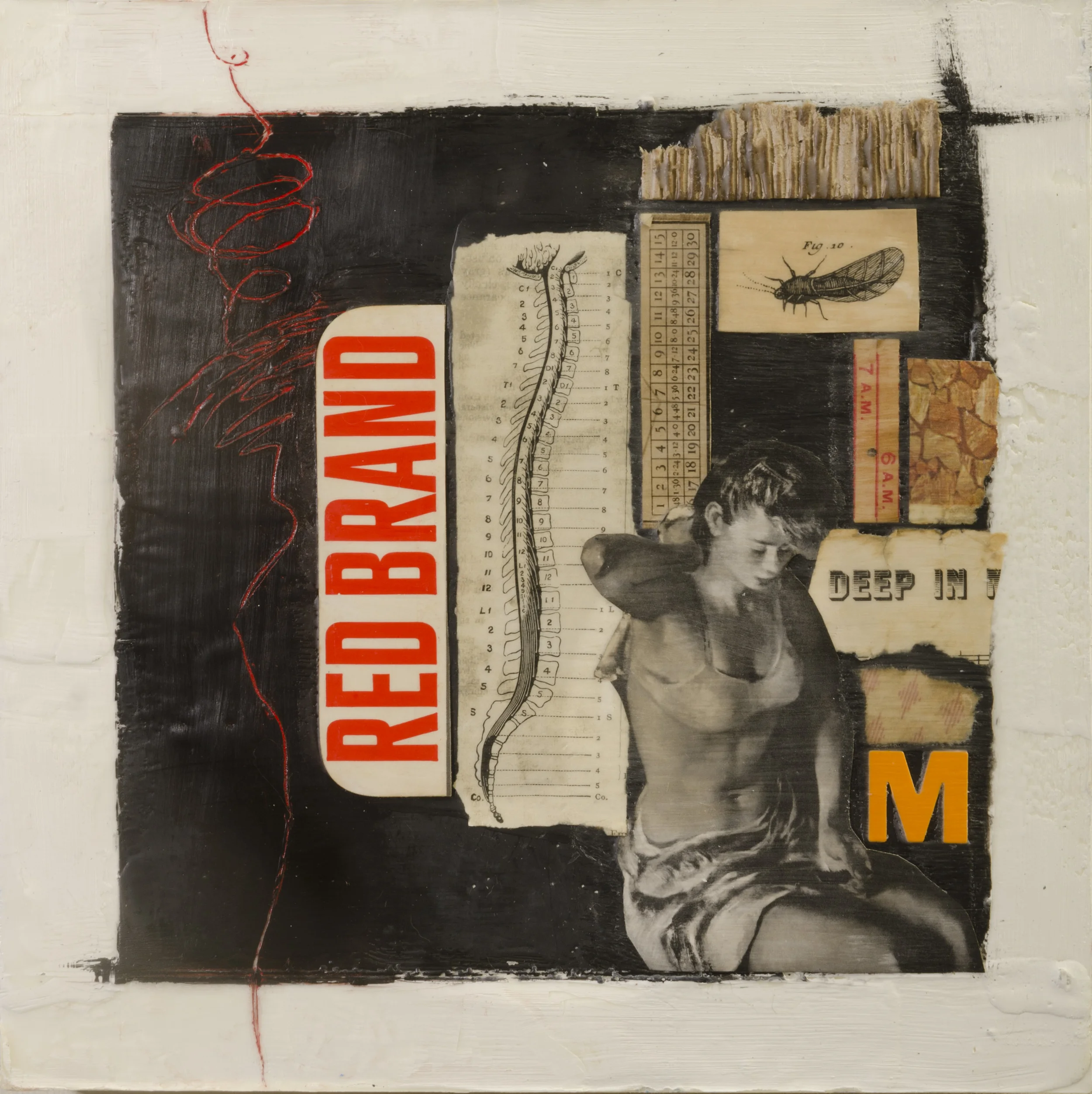 Red Brand , 2013. 12 in x 12 in x 2 in. 