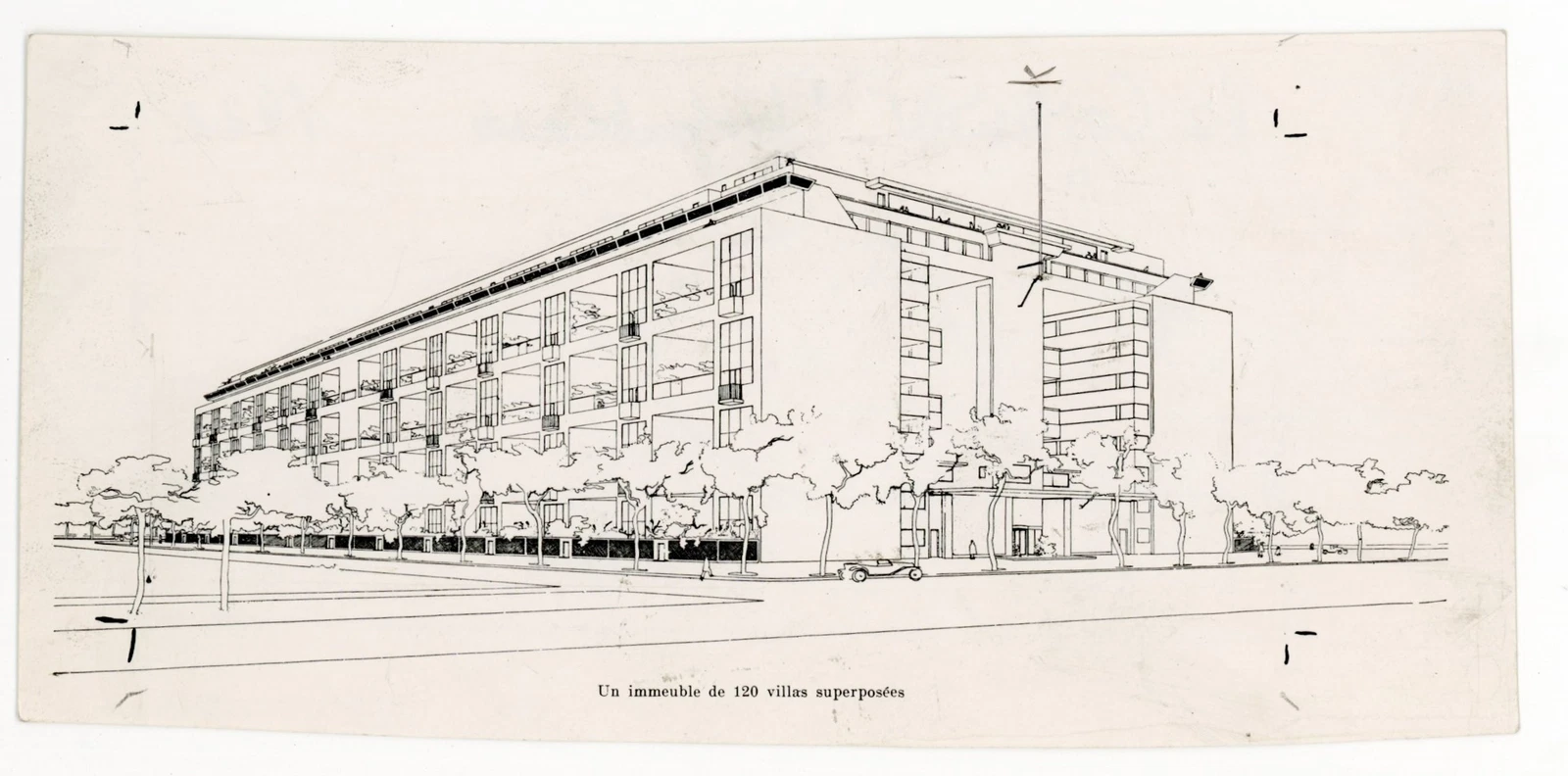 image (2).png