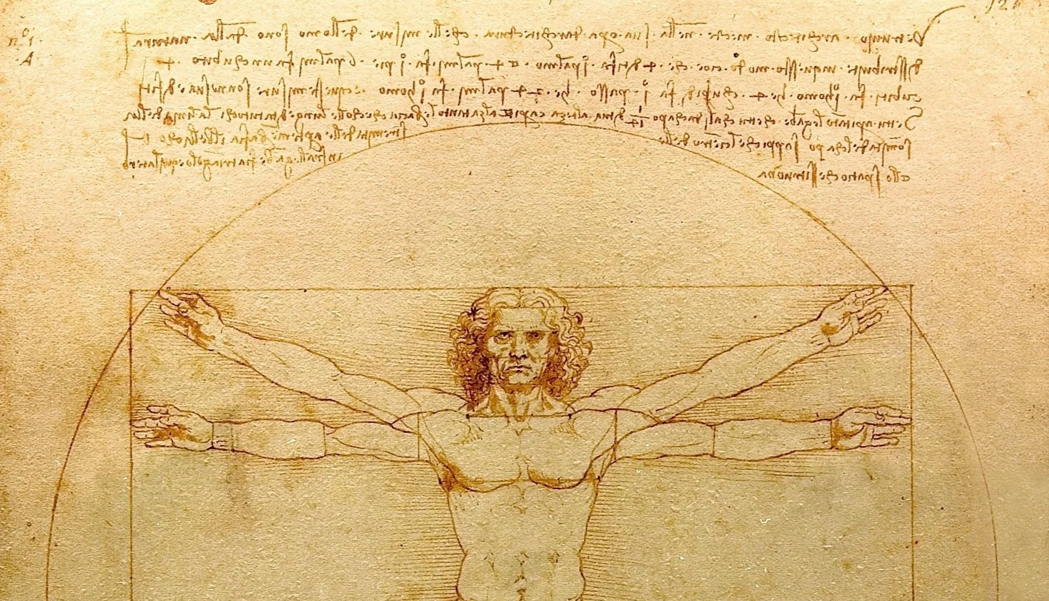 Da_Vinci_Vitruve_Luc_Viatour.jpg