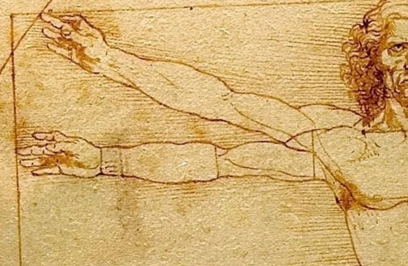 Da_Vinci_Vitruve_Luc_Viatour.jpg