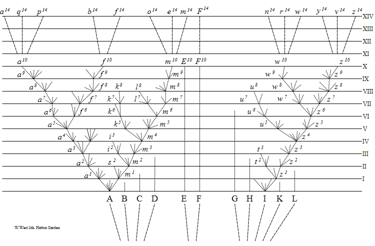 image (22).png