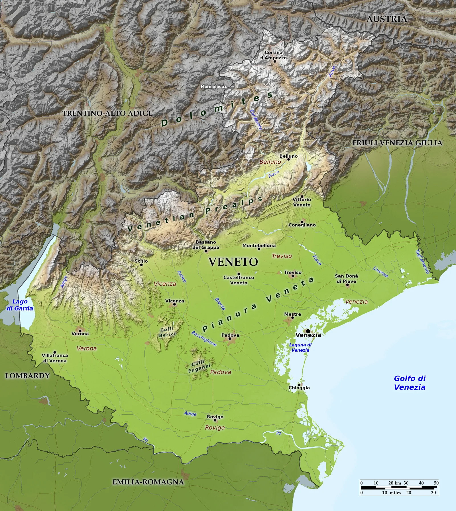 image (7).png