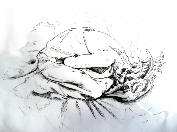 Shell