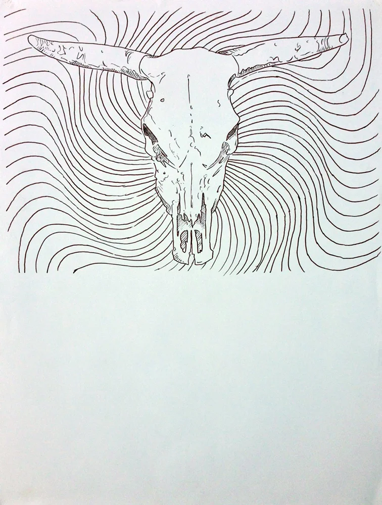 Cow Skull