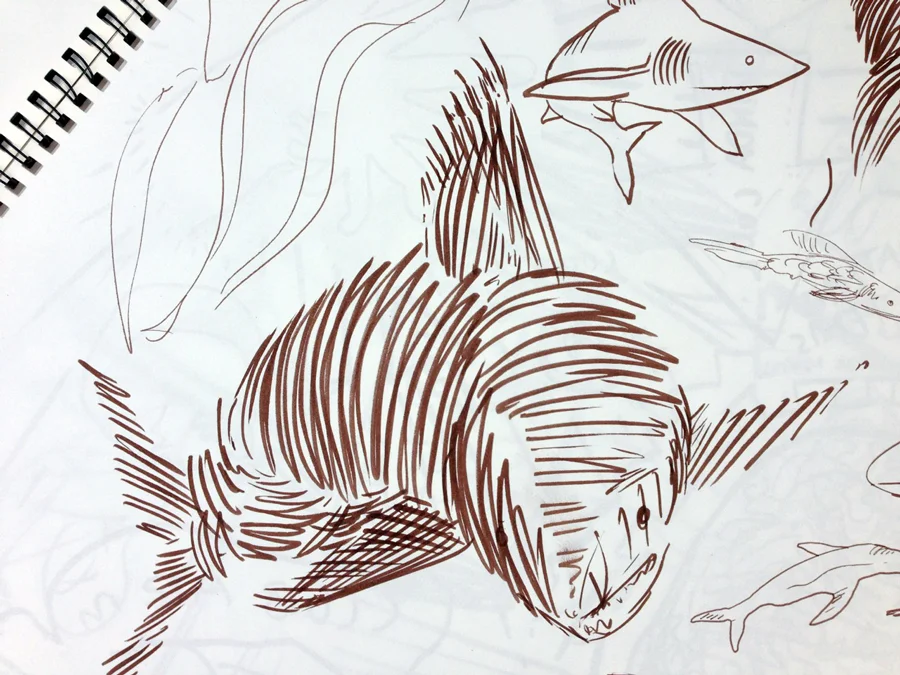 Shark Sketch