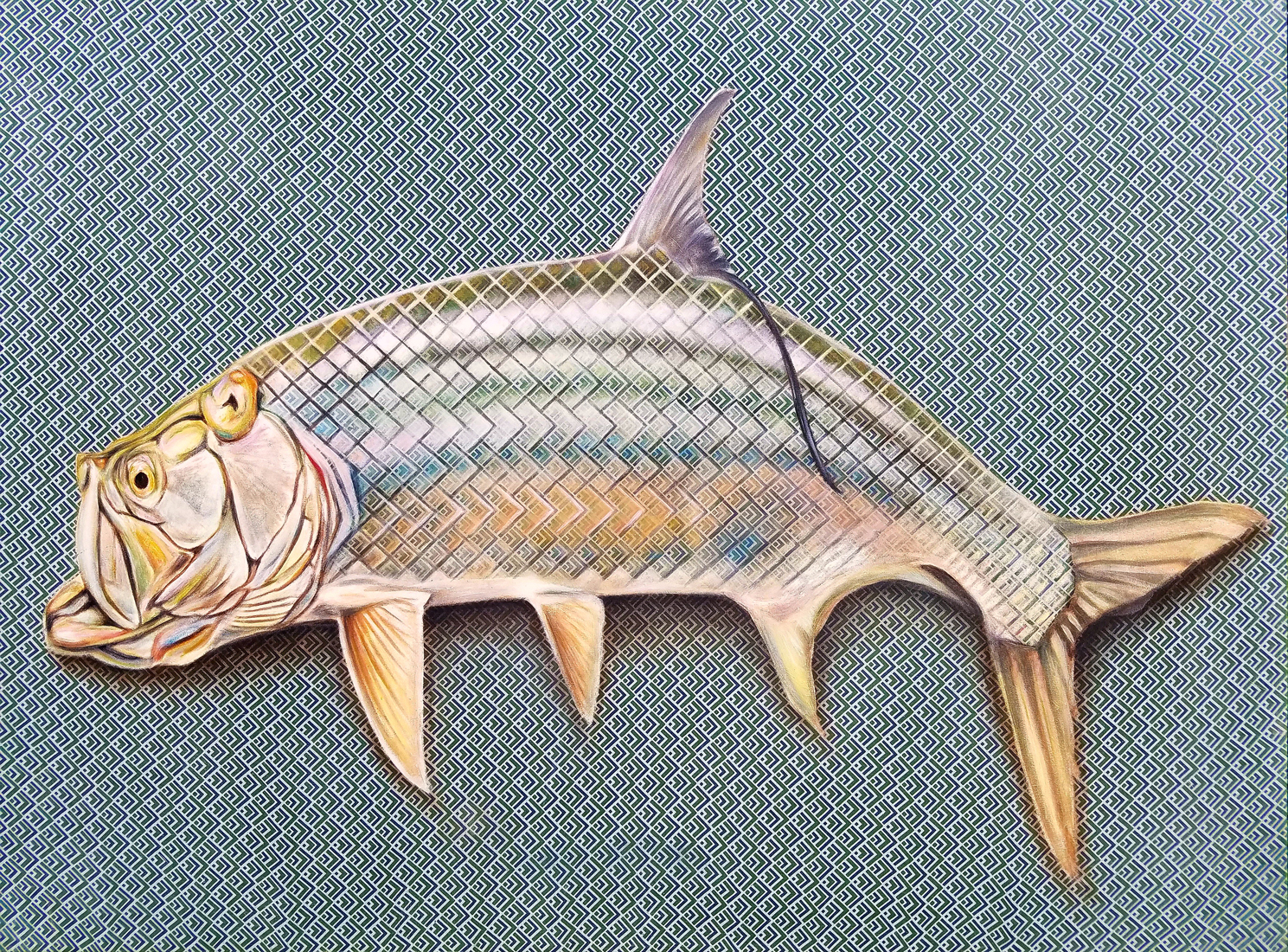 Tarpon