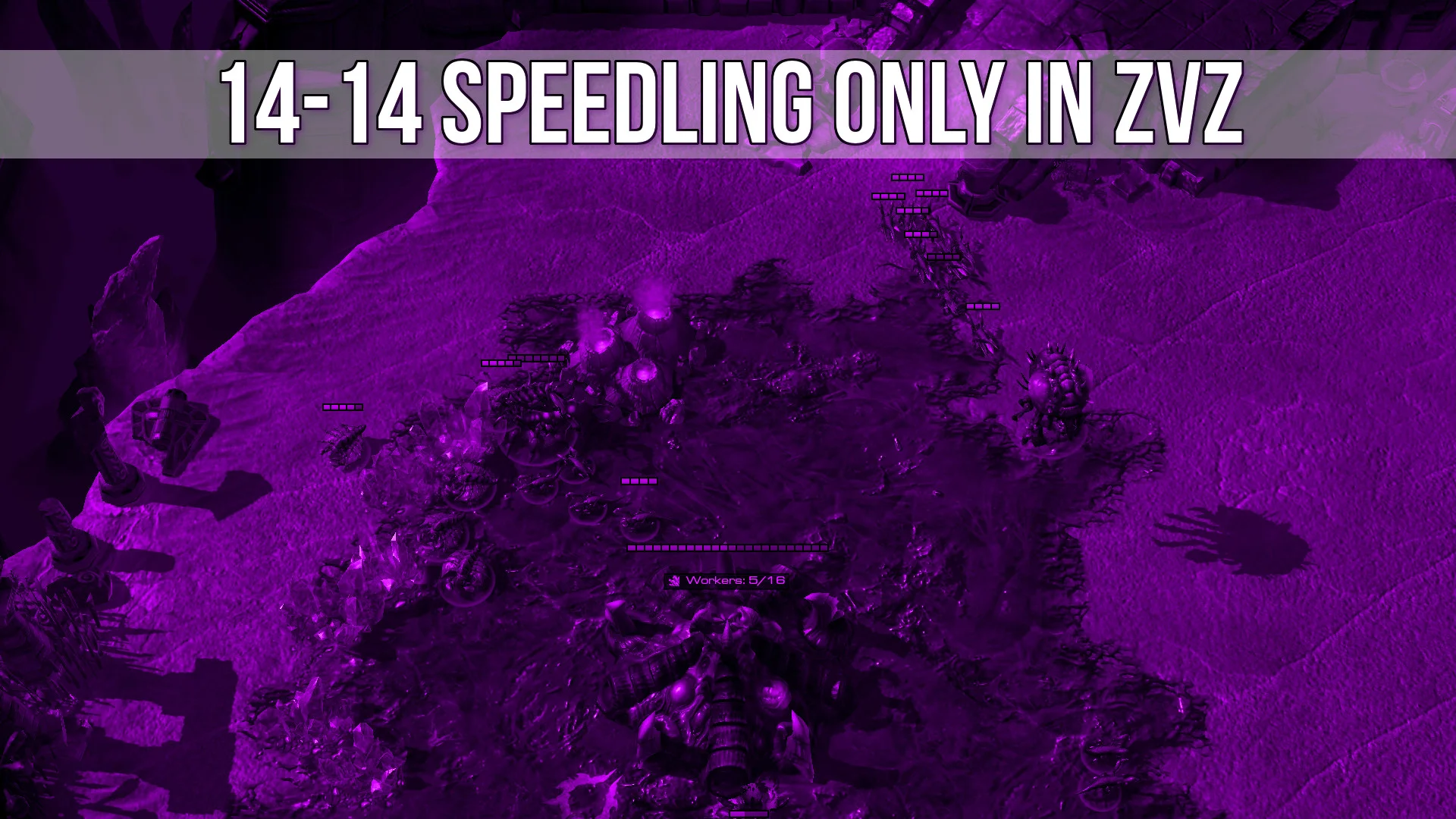 [Guide] 14-14 Speedling Only Opening in ZvZ