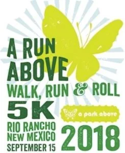 aparkabove_run-245x300.jpg
