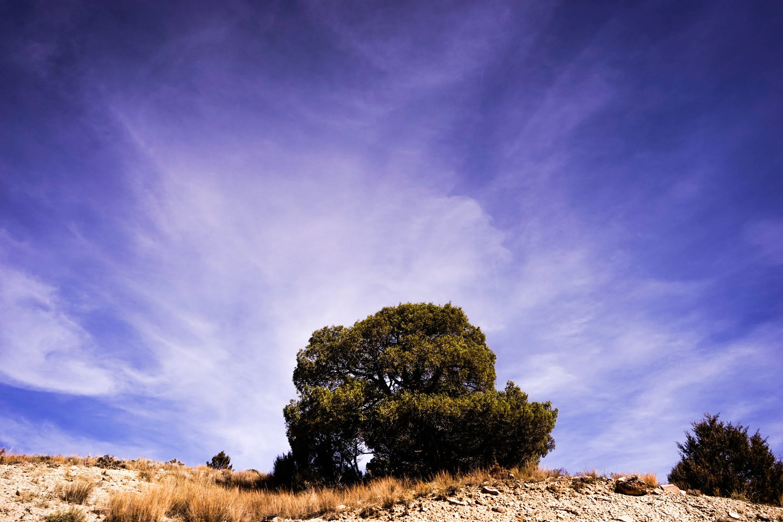 river trip 1_upper C_oct.2016-12.JPG