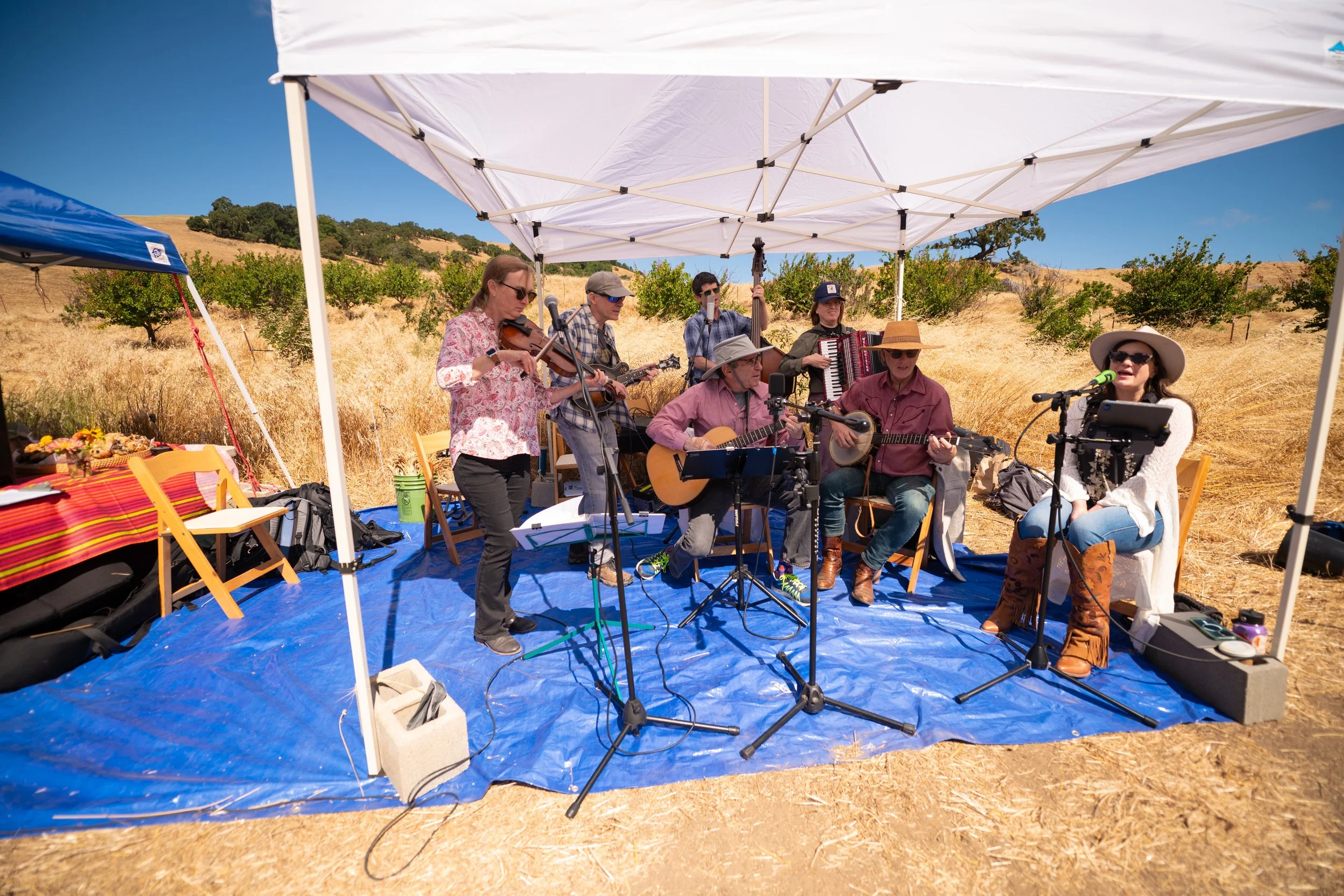 The Wronglers filled the field with bluegrass throughout the morning
