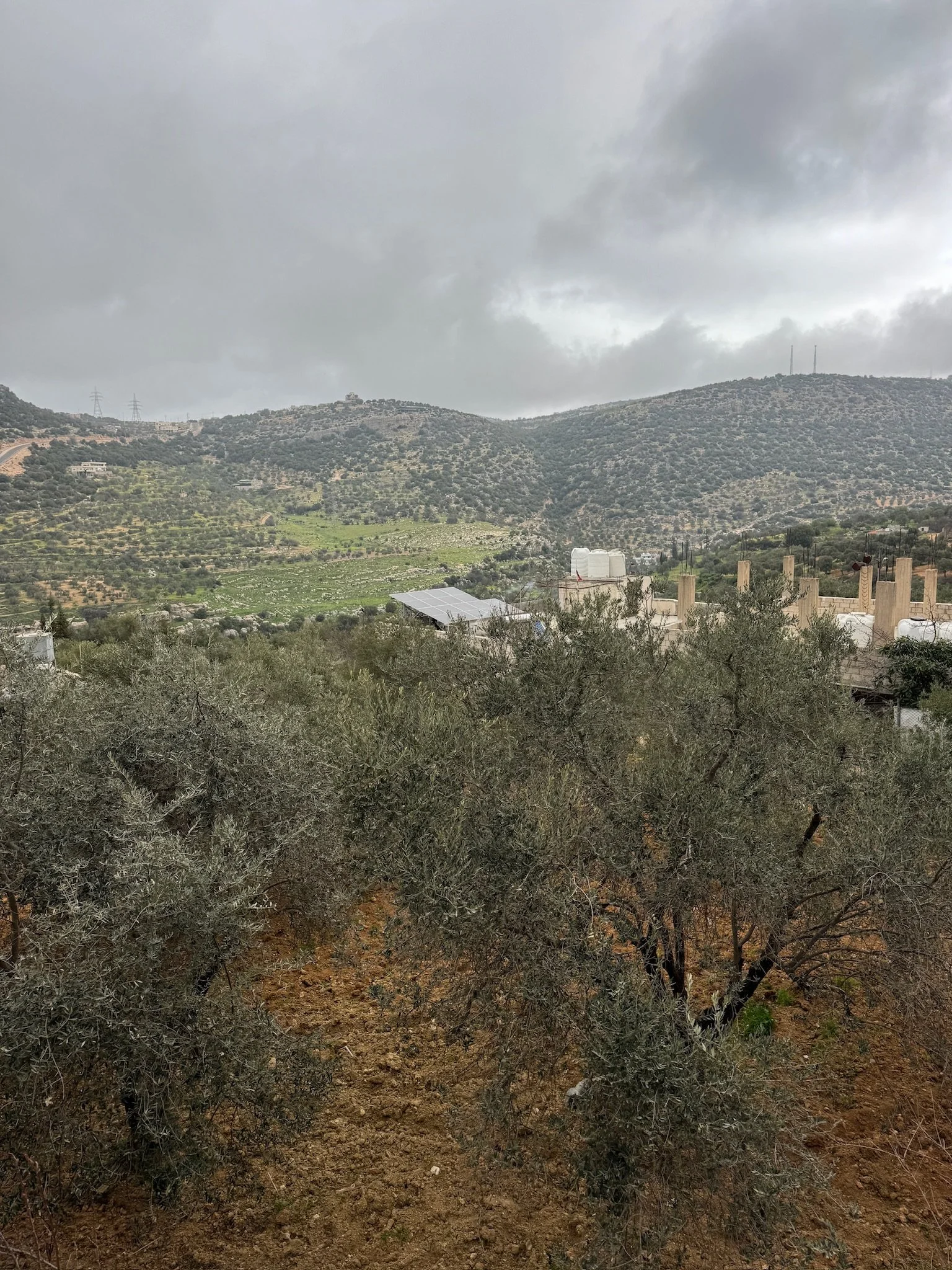 The agricultural landscape of Ajloun stretched around us—fertile, enduring.