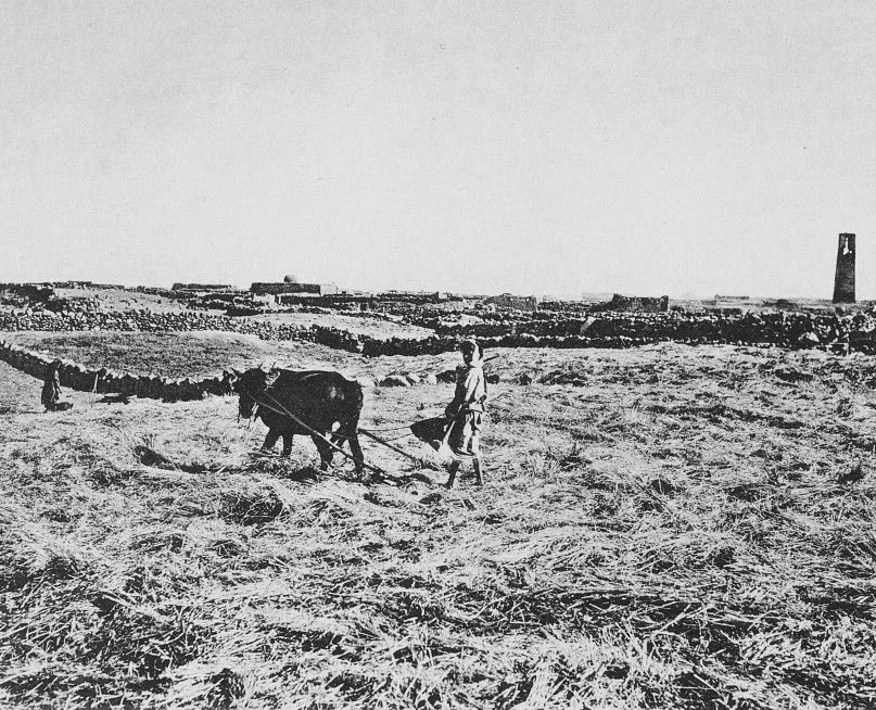 Grain being threshed in 1906. Grain was the chief crop of the Hauran, the cultivation of which led to the region's revival in the second half of the 19th century.
