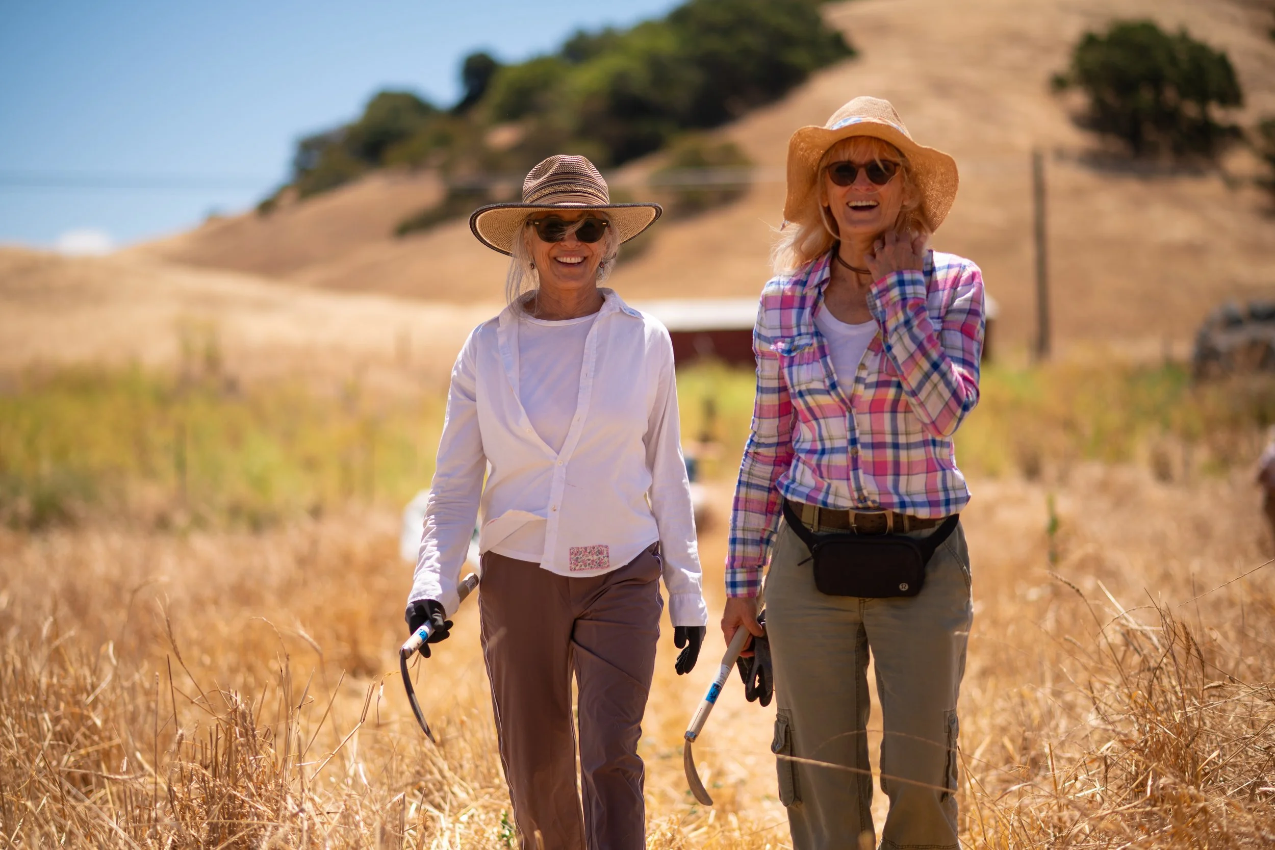 Happy harvesters Phoebe Lang (left) and Hélène Ellis (right)