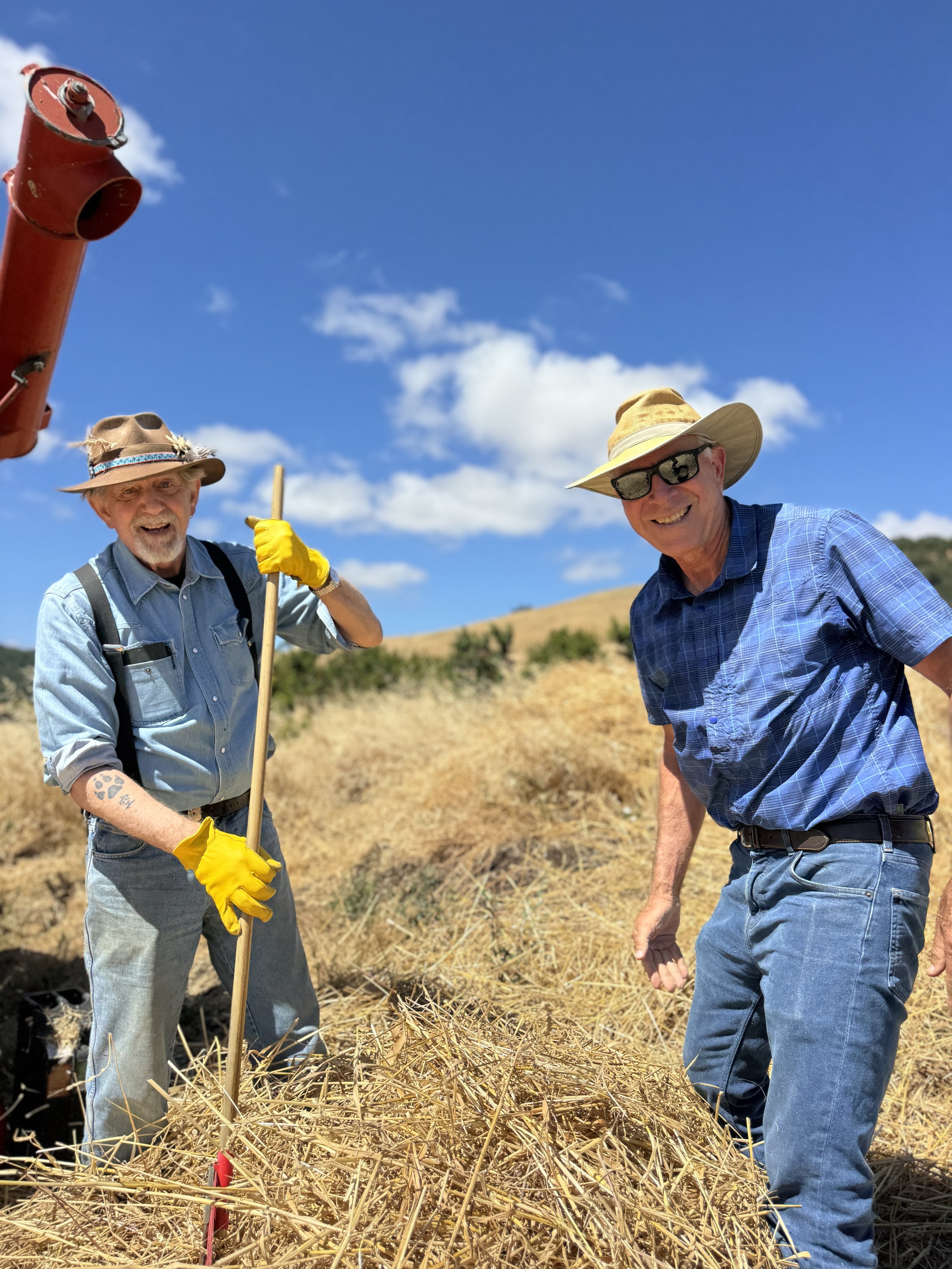 Every stage of the harvest takes many hands