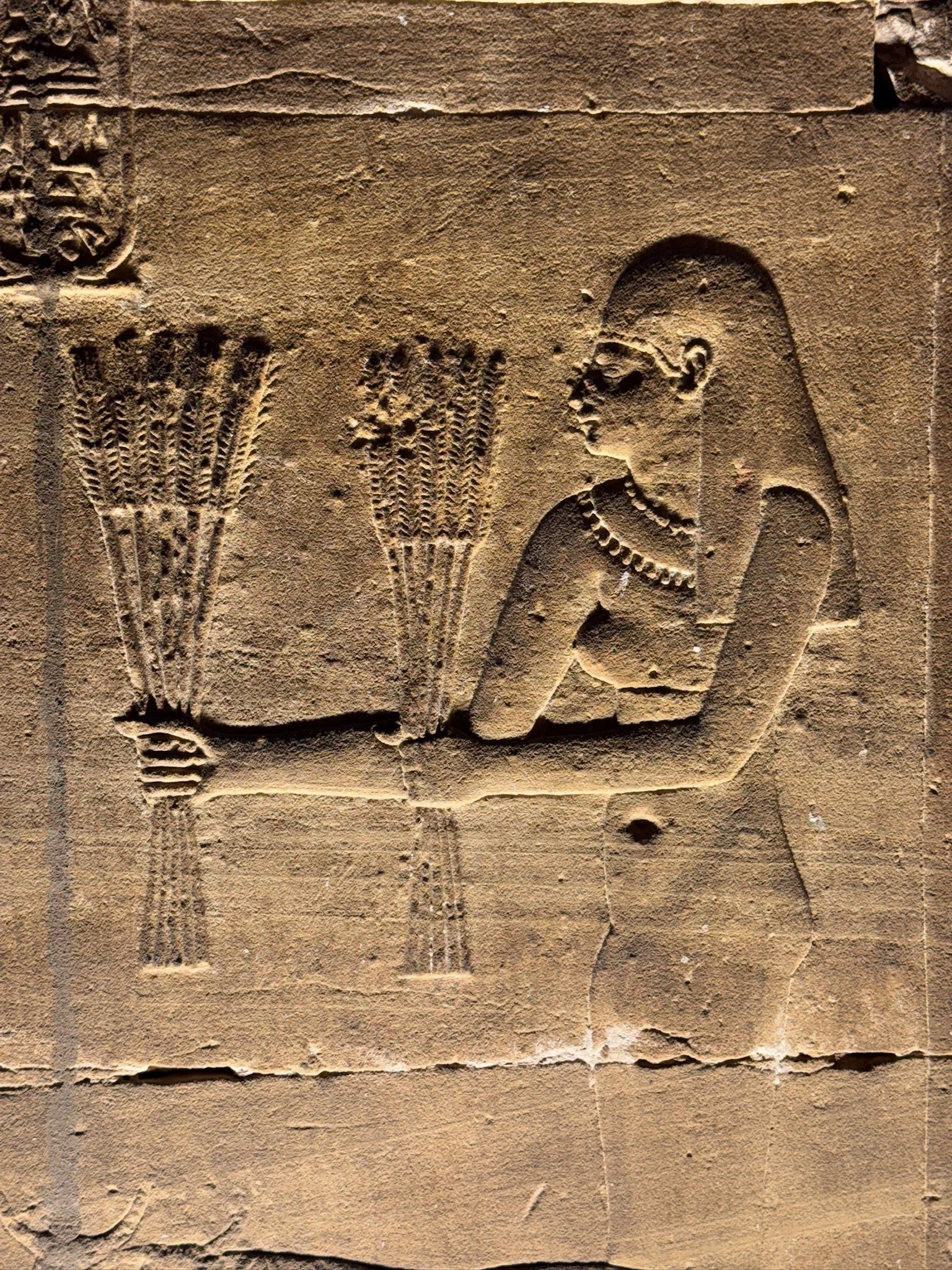 At the Temple of Edfu, a 2,000-year-old bas relief carving shows a woman with her hands extended, offering wheat. Her posture is reverent. No translation needed. Wheat as a gift. Wheat as something sacred.