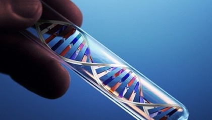 First Patent Application For Dual Gene Therapy Targeting The Aging Process