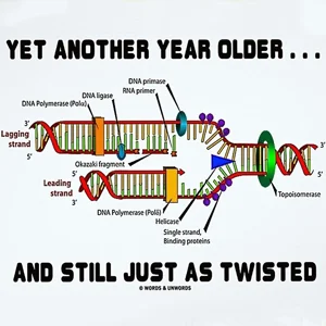 One Year Anniversary Of Bioviva's Gene Therapy Against Human Aging