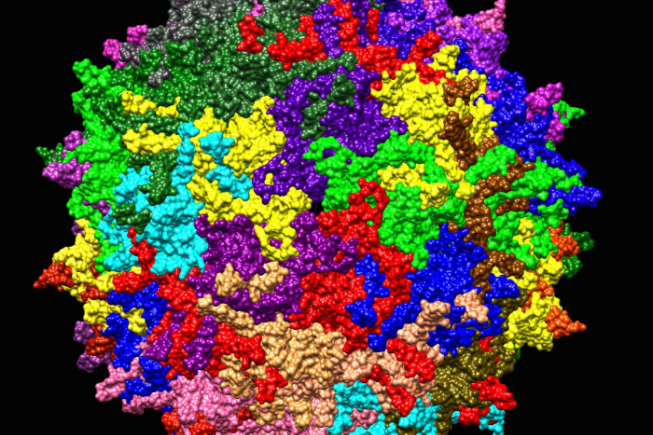 Anti-aging Gene Therapy: Has The Time Arrived For True Anti-aging Medicine?