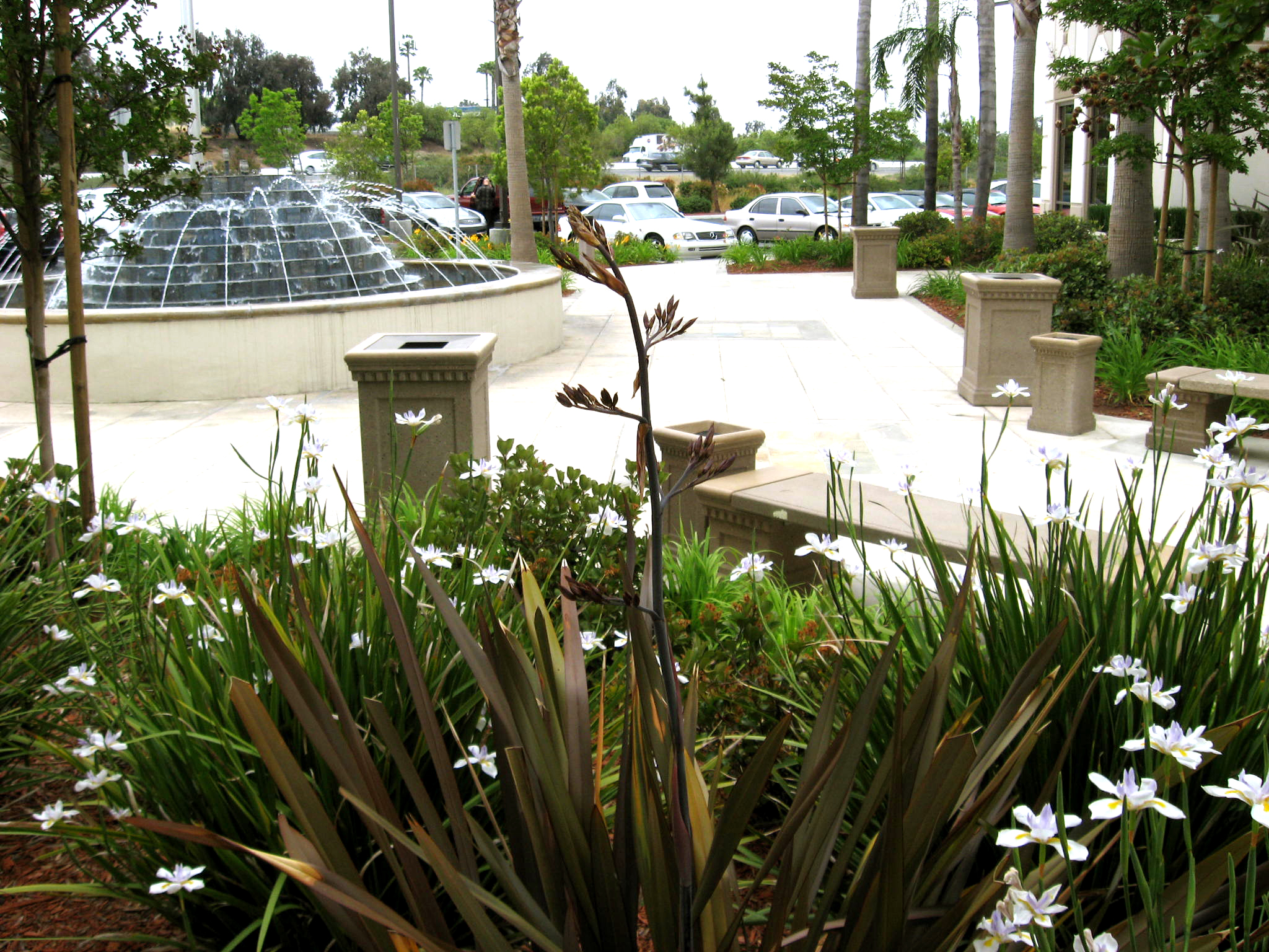 etco fountain-landscape.jpg