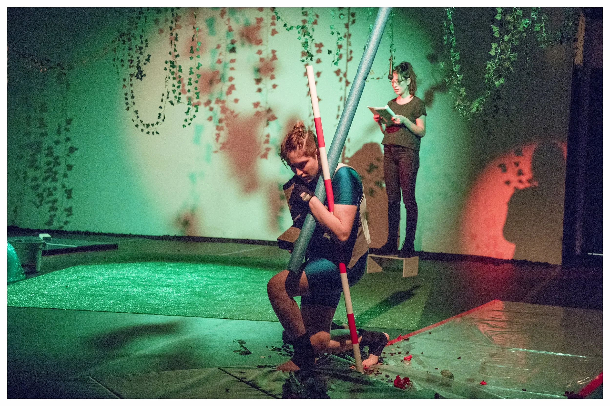 Image One_ Steeplechase.jpg